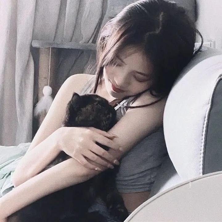 与鲨同游